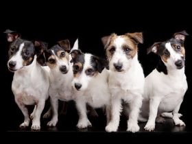 Aus dem Rechtenbachtal