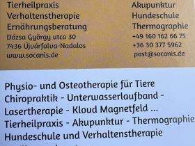 SOCANIS Hundeschule-Verhaltenstherapie Heike Faßl