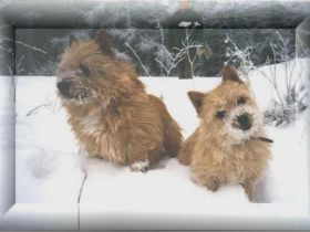 vom alten Marktsteig