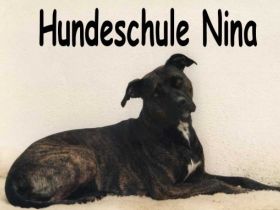 Hundeschule & Pension "Nina"