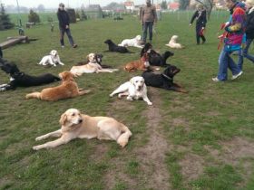 Hundeschule Saalfeld