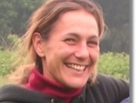 Hundeschule und Tierbetreuung Dog-Rules, Krefeld