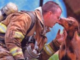 4 Pfoten Hundeschule, Welpenschule