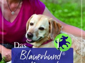 Partnerschule für Mensch und Hund
