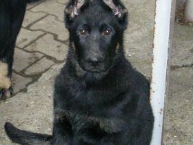 Vom Kraichgauer Land