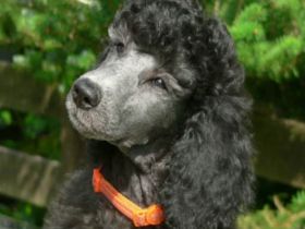 Aus dem Tabakstädtchen