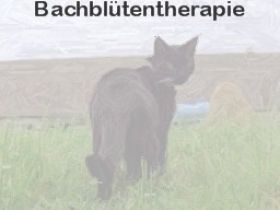 Tierhomöopathie u. Verhaltenstherapie für Tiere G.Zuske Berlin