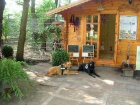 Die Hundehütte 4 Wände für 4 Pfoten