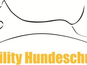 Agility - Hundeschule