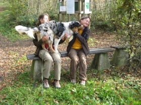 Hundeschule Leben mit Hund