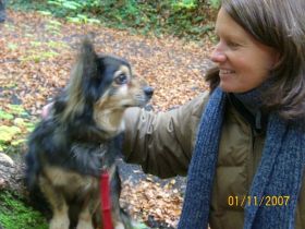 Hundeschule dogs-4-nature