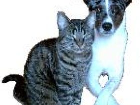 Tierverhaltenstraining