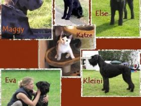 vom Schwedenspeicher