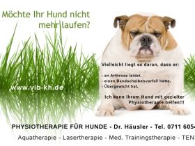 Physiotherapie für Hunde - Dr. Kirsten Häusler