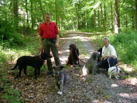 Jogi's Hundepension & Hundeschule