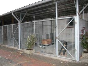 Hundepension Waldhof