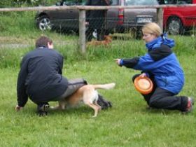 Paw-Friends Die Schule für Mensch & Hund