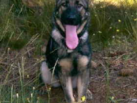 vom kleinen Preußen