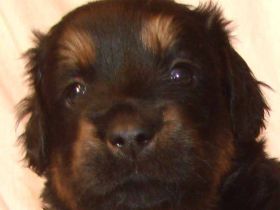 von der Lembecksburg