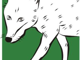 Hundeschule Fränkische Schweiz