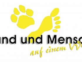 Hund und Mensch auf einem Weg