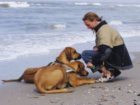 Pfotenakademie Mülheim a.d. Ruhr