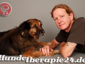 Hundetherapie 24