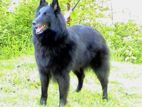 von der Schieferhalde