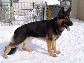 vom Reiterles Kapelle