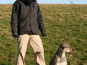 Hundeschule Karin Schumacher