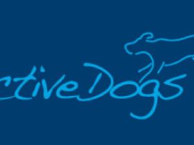ActiveDogs
