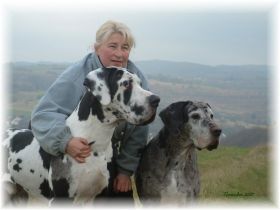 Rohrbacher Hundeschule