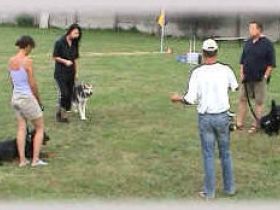 Mondioring - Hundeschule Manfred Urak