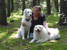 Hundeschule  Petershagen