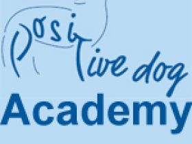 Positive-Dog Academy