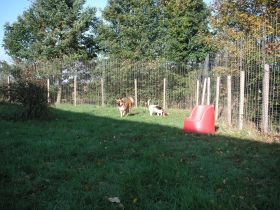 Hundezentrum Am Berghof