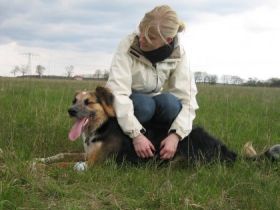 Hundeschule-Knickohr