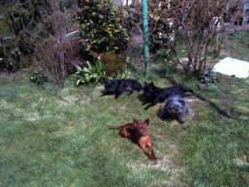 vom Holthausener Wehr