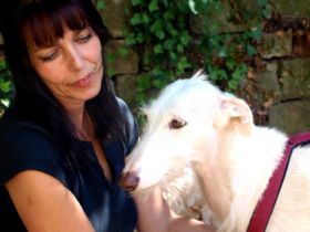 wetnose - mit Hunden leben