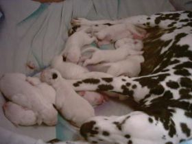 von den Nordseewellen