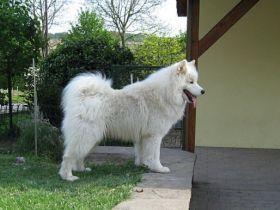 Beautiful of Whiteline