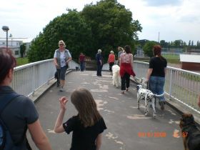 Mobile Hundeschule Untermain