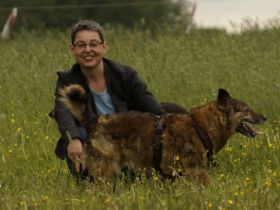 Hundeschule Lernen fürs Leben