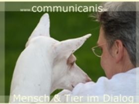 Naturheilpraxis für Tiere