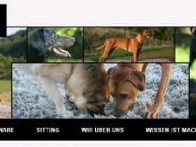 Chakanyuka - Clickertraining and more