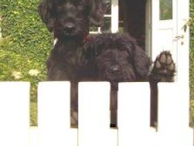 vom Haus von Blücher