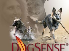 DogSense