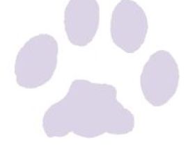 Spaziergeh-Hundeschule (Wiesbaden und Umgebung)