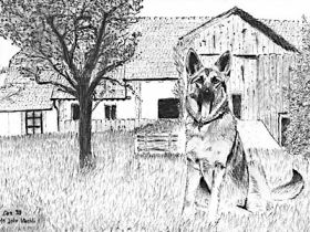 Hundepension Grisette