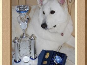 a From White Diamond